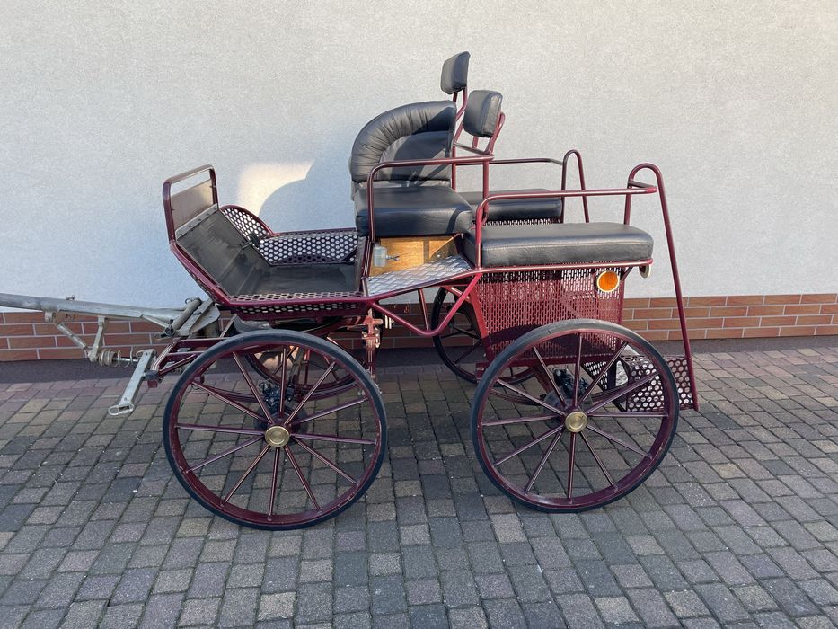 Powóz konny bryczka Maraton Maratonka Sport na pare ogier klacz