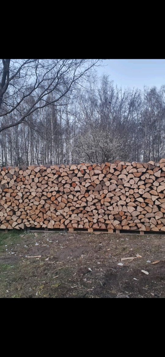 Wycinanie,wycinka drzew,krzaków cięcie rąbanie drewna  itp.