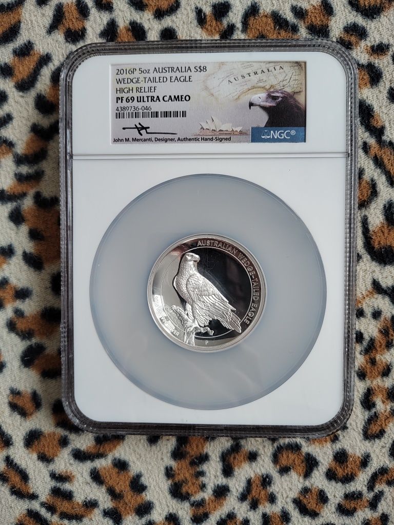 Australia orzeł 8 dolarów moneta grading NGC
