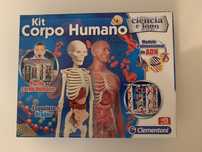 Jogo “kit corpo humano”