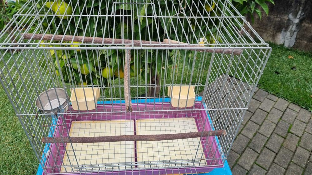 Úteis para passaros