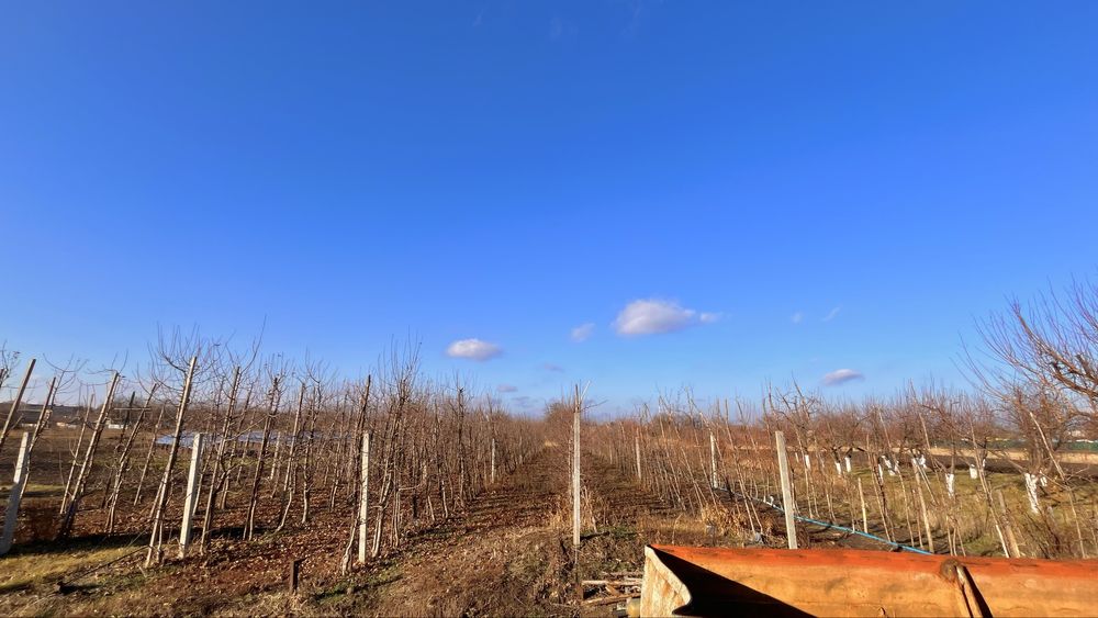 Продам дом с большим участком в с. Богдановка