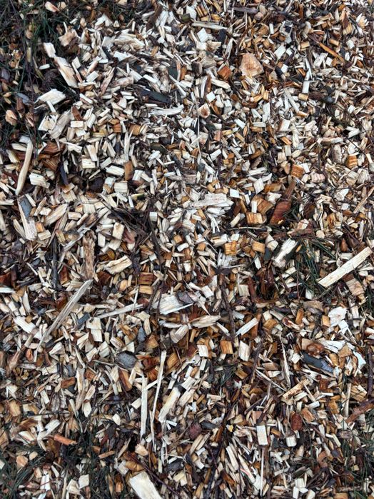 Podłoże do Borówki Trocina kora TORF zrębki Zrebka Borowka transport