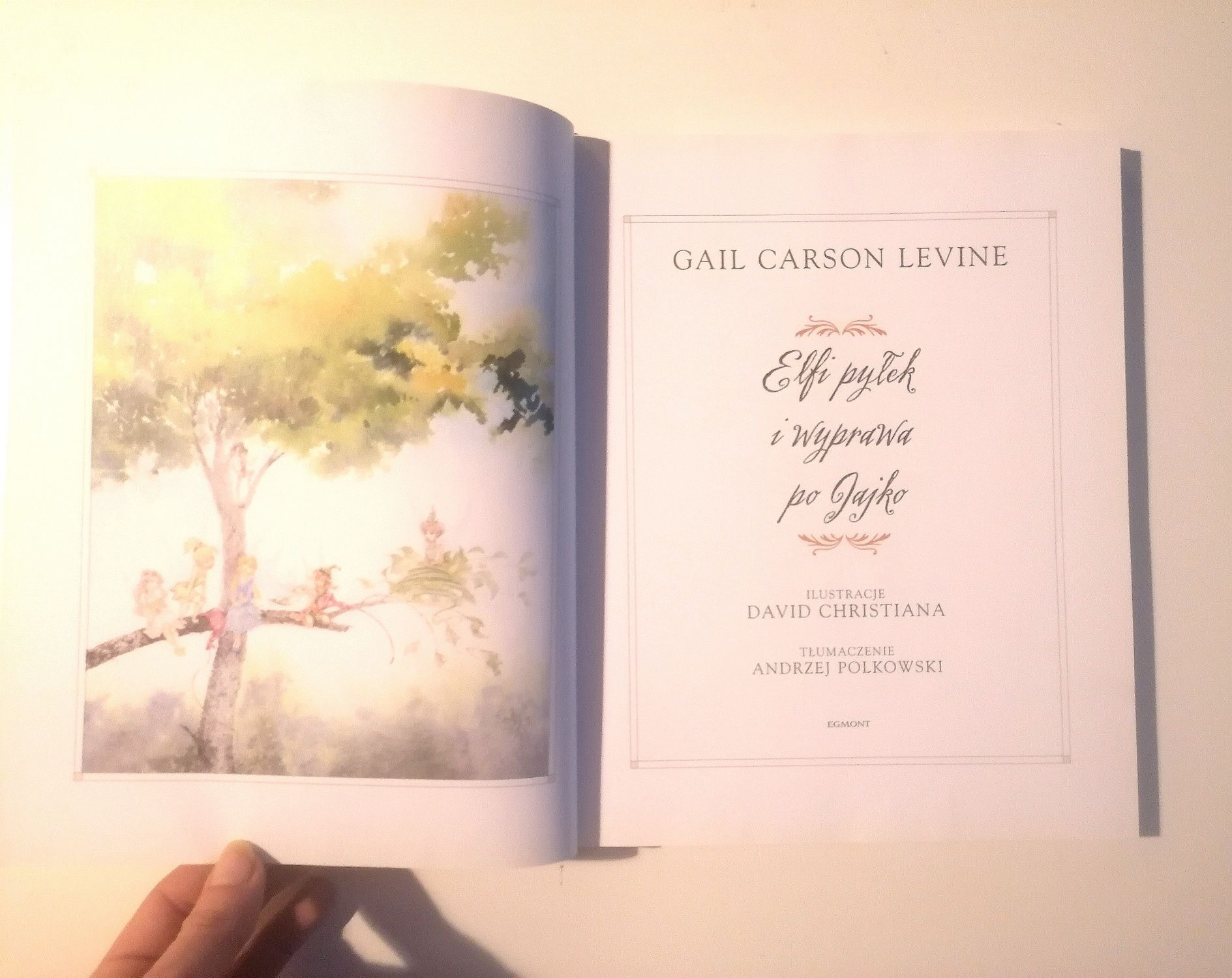 Książka dla dzieci Elfi pyłek i wyprawa po jajko G. C. Levibe Egmont