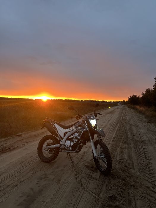 Лось 300 низ ринку