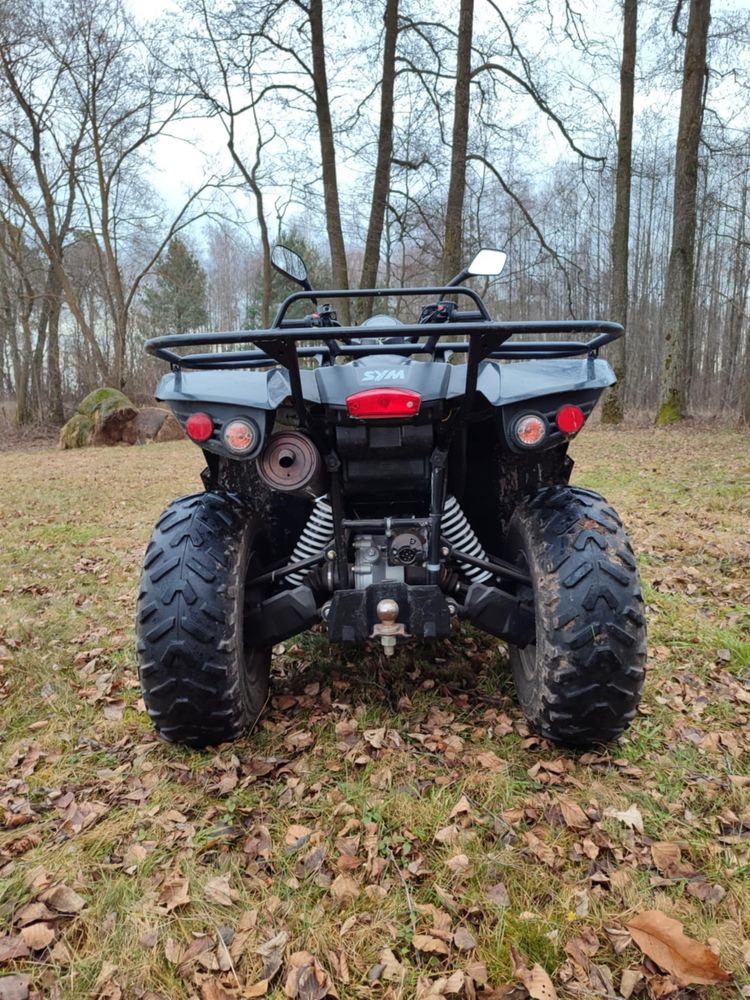 Quad Sym 600, TGB, yamaha grizzly.