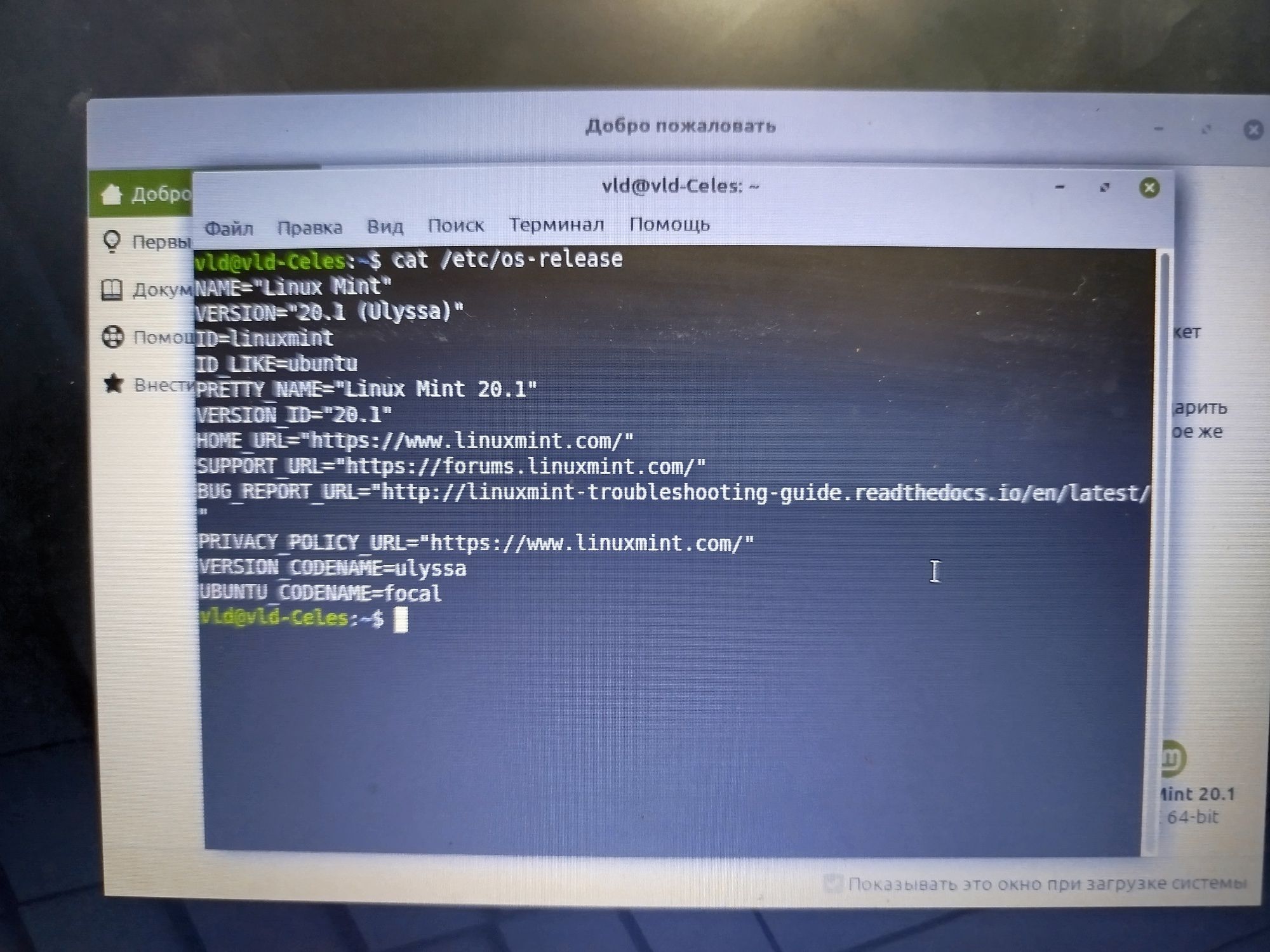 Chromebook Samsung l, Linux Mint 20.1 version