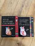 Atlas anatomii człowieka Netter + kolorowanka do zestawu