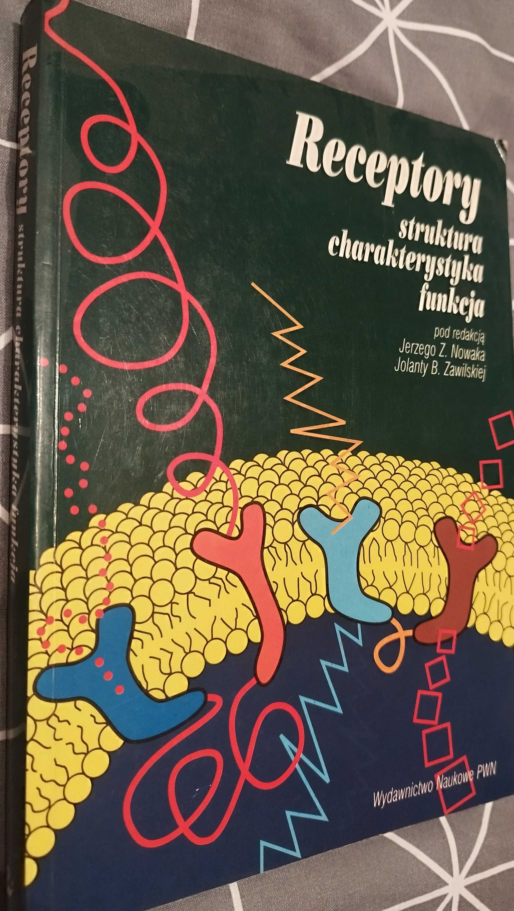 Receptory - struktura charakterystyka funkcja KSIĄŻKA
