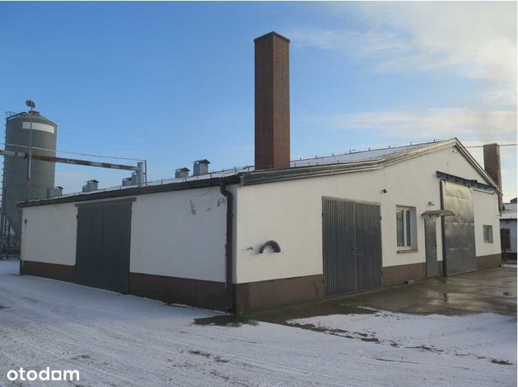 Kurniki na sprzedaż - Rostarzewo