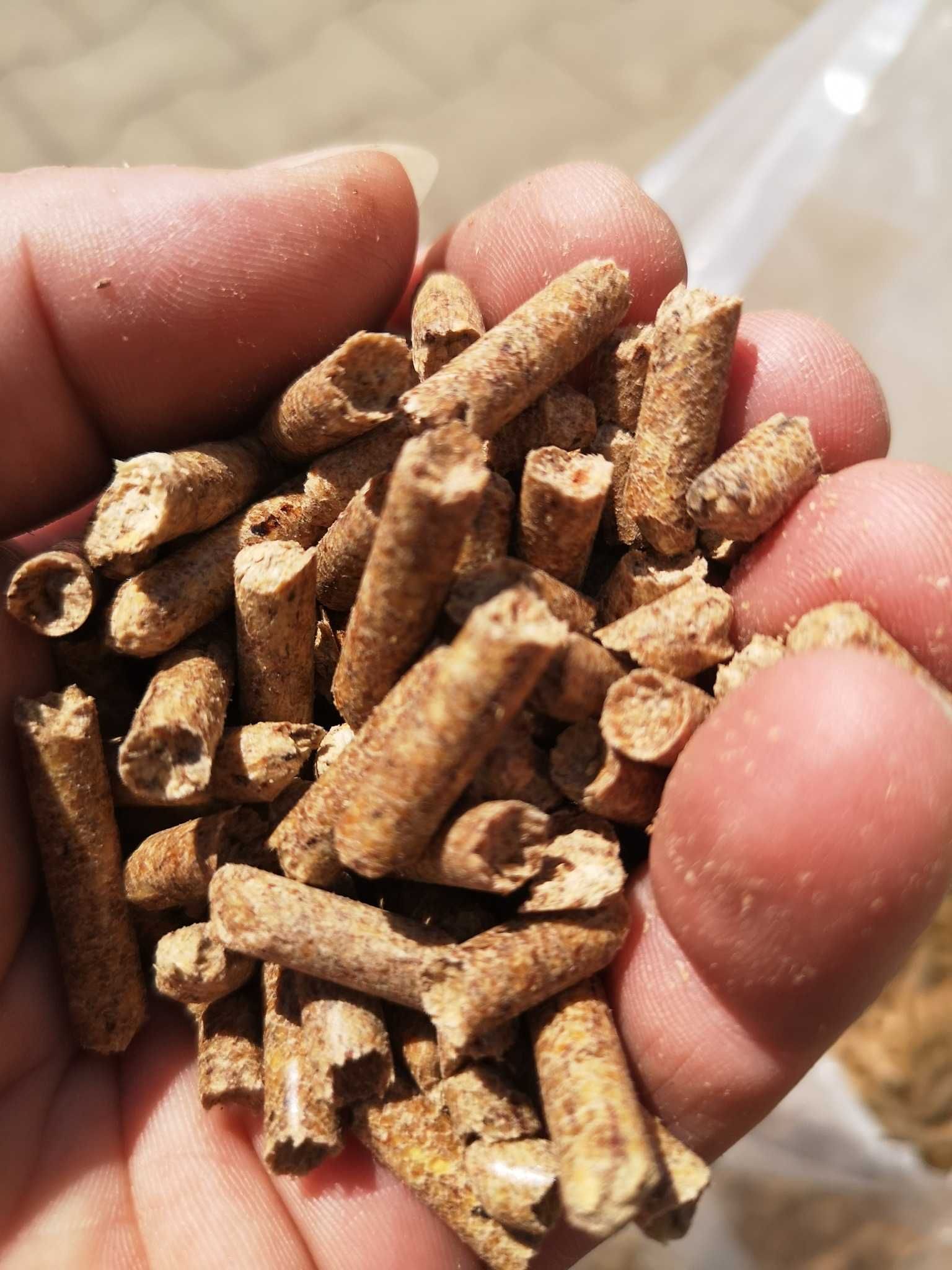 Pellet Drzewko | Polski producent | Dostawa | Pellet Drzewny