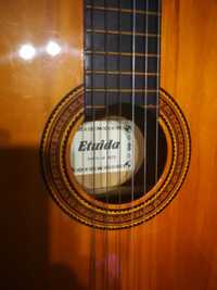 gitara  DO NAUKI