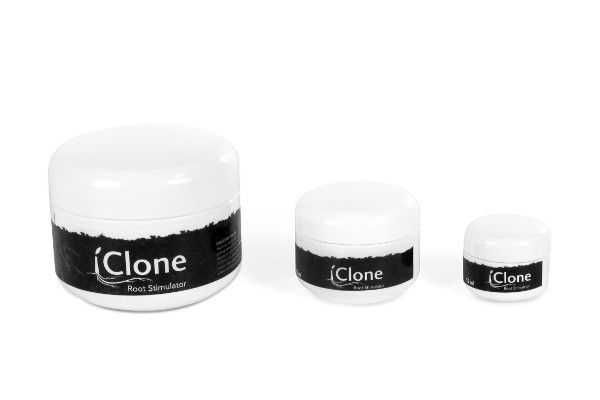 iClone gel de enraizamento, rooting gel