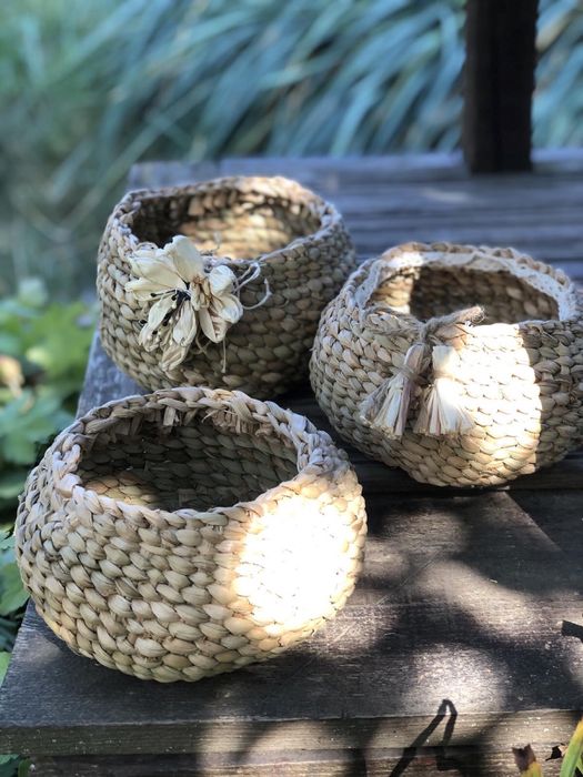 Алоє - вера , плетені кашпо