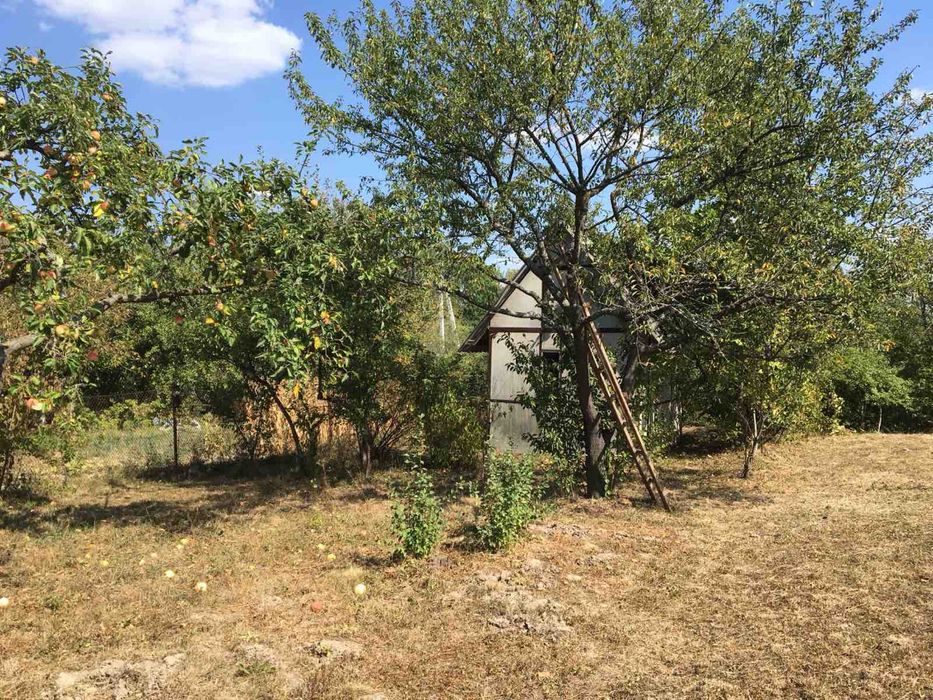 Дача біля лісу у мальовничому селі Павлівка