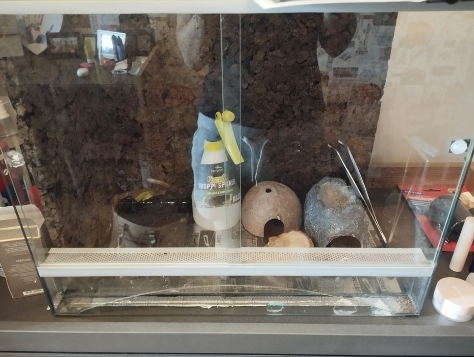 Terrarium z wyposażeniem