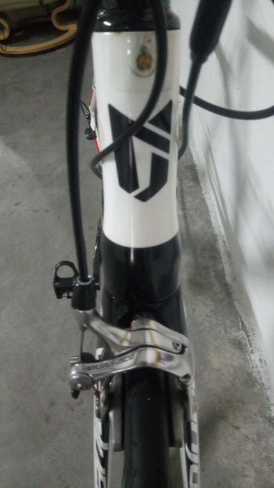 COLUER Invicta (55)