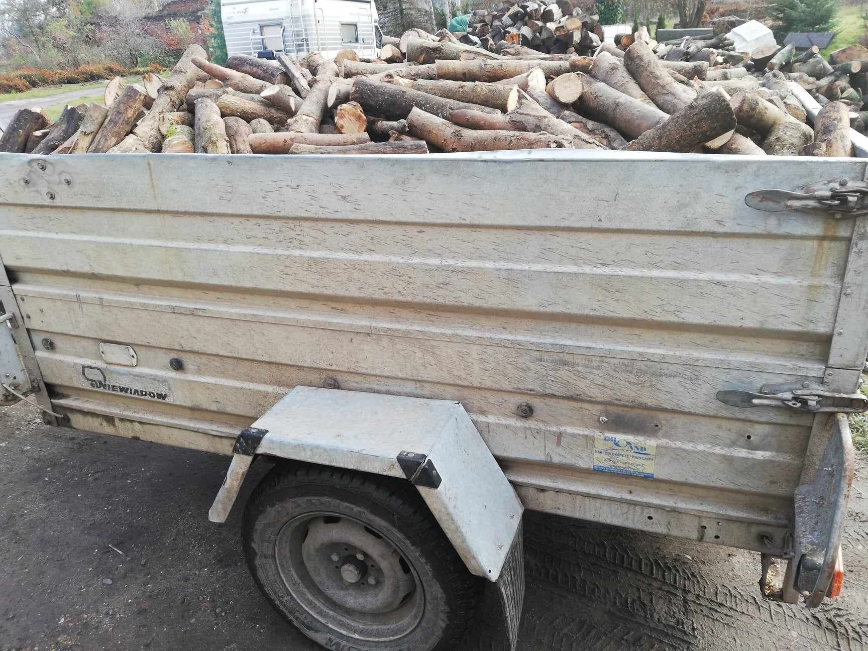 Drewno opałowe kominkowe, gałęziowka Twarde Jesion Transport gratis!