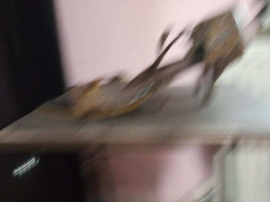 Взуття жіноче, 38 розмір, 24,5 см