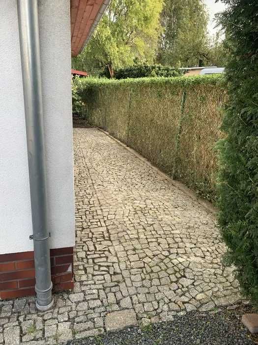 Karczowanie działek, wycinka drzew, czyszczenie pod budowę, sprzedaż