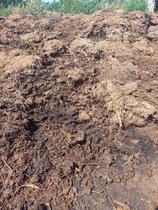 Продам гній коровячий