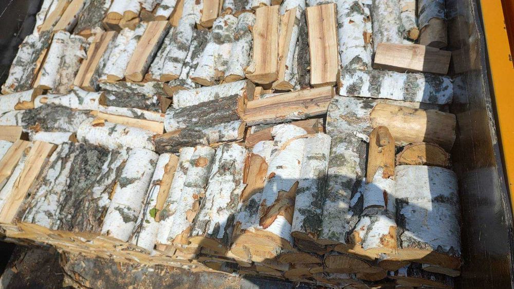 Дрова з берези з безкоштовною доставкою по Одесі та області!