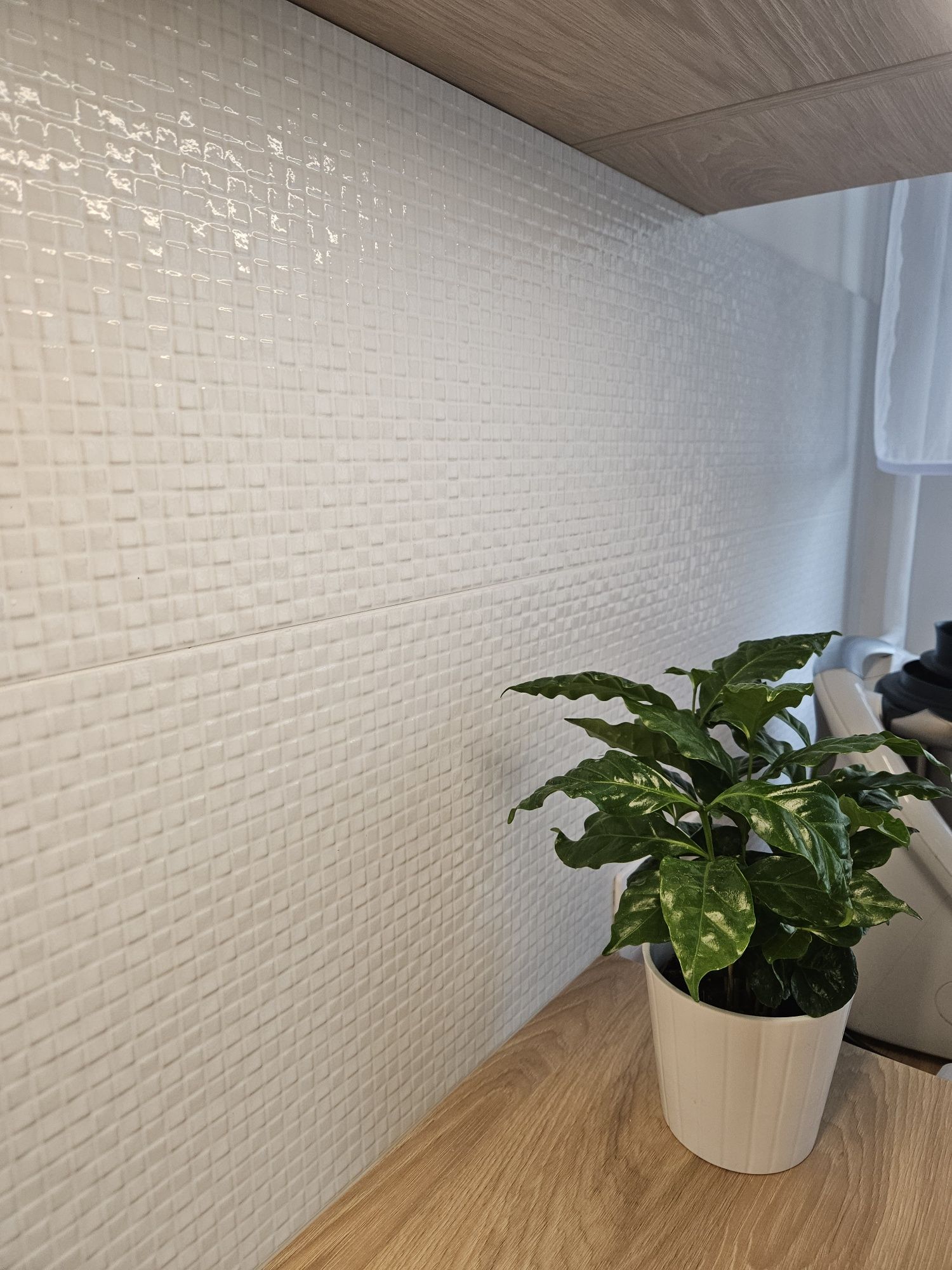 Płytki 30x60 Saloni Sedus Brillo Blanco GXB500