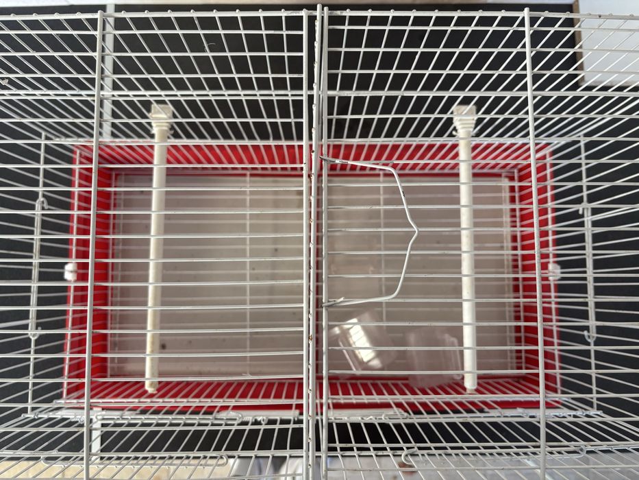 Gaiola para passaros