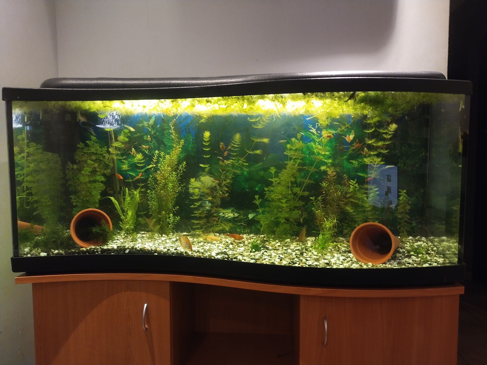 Akwarium 240 litrów fala
