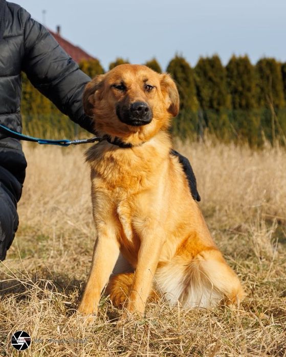 Pepsi szuka swojego Człowieka