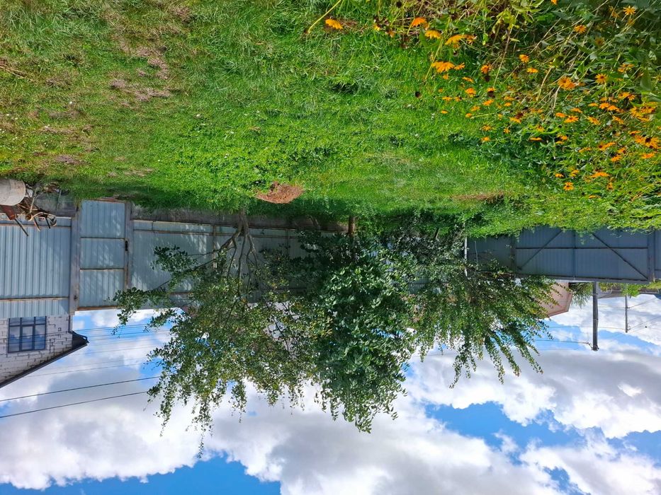 Оренда кімнати в будинку с.Петропавлівська Борщагівка(Київ)