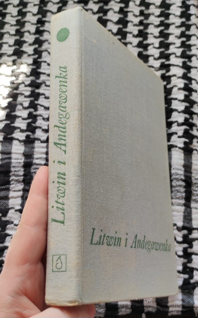 Stefan M. Kuczyński - Litwin i Andegawenka