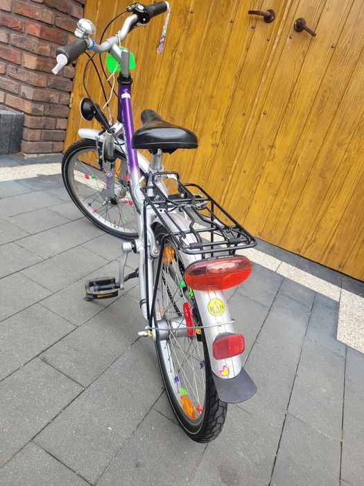 Rower Pegasus 20"