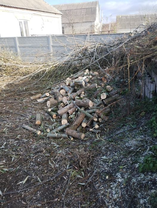 Демонтаж будівель тереторії ділянки під ключ уборка участків