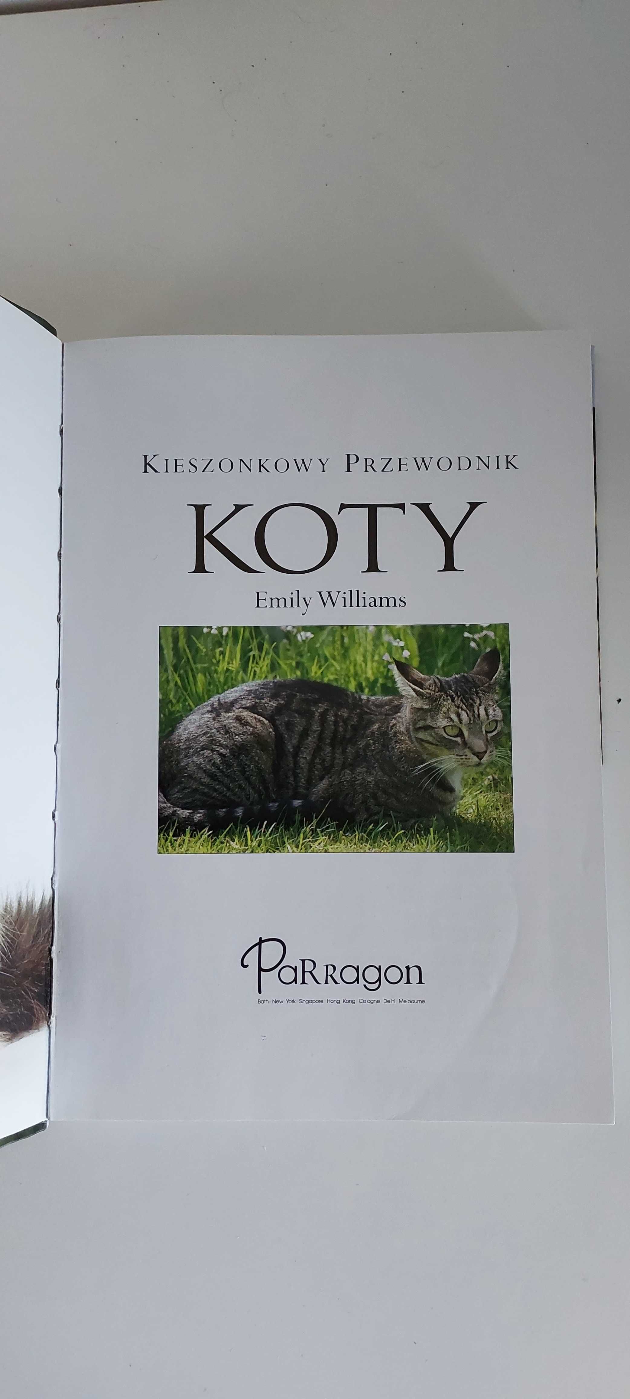 Emilt Williams - Kieszonkowy przewodnik KOTY