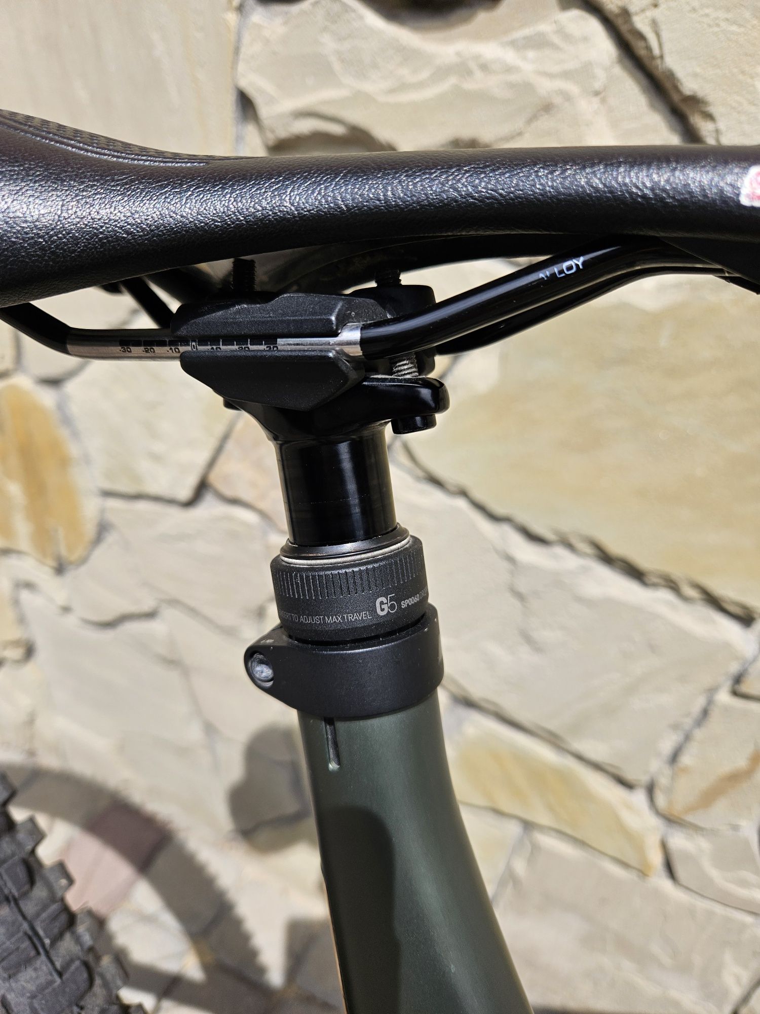 Canyon Spectral 29 CF 7