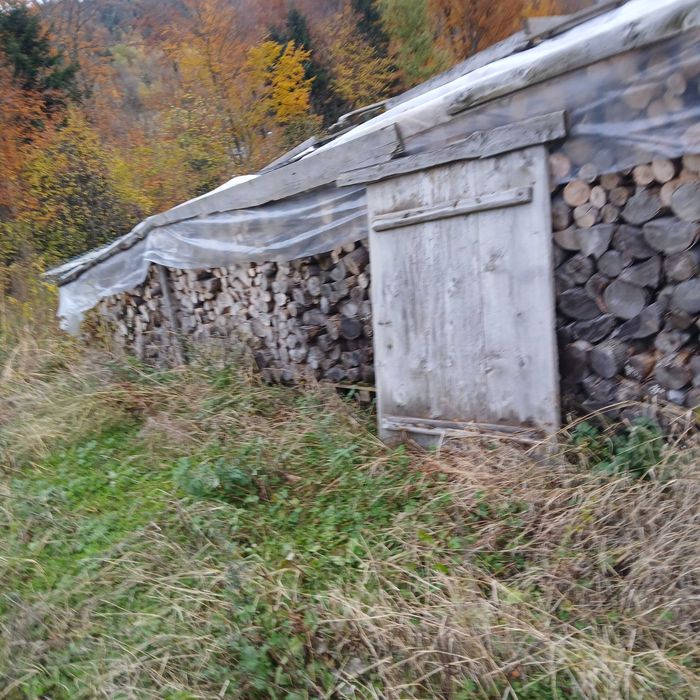 Sprzedam drewno suche bukowe