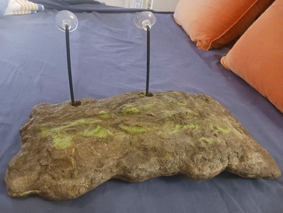 Plataforma tartaruga para aquaterrario
