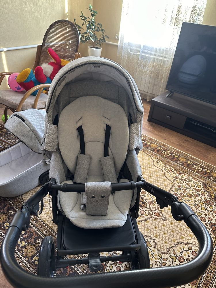 Коляска 2 в 1 Adamex Cortina
