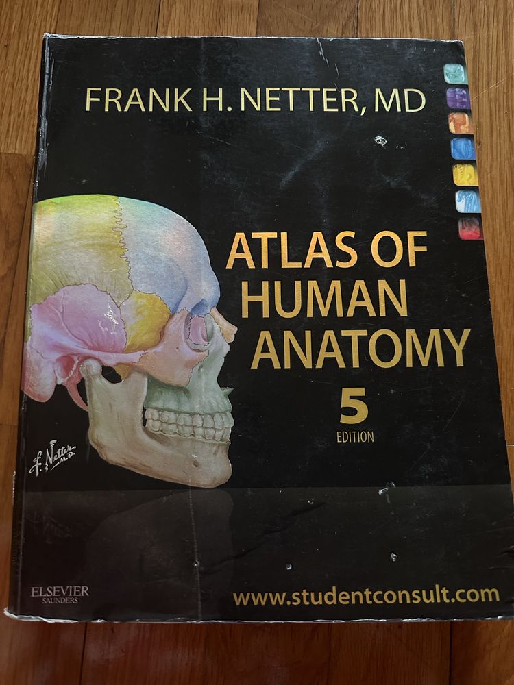 Netter atlas anatomia humana