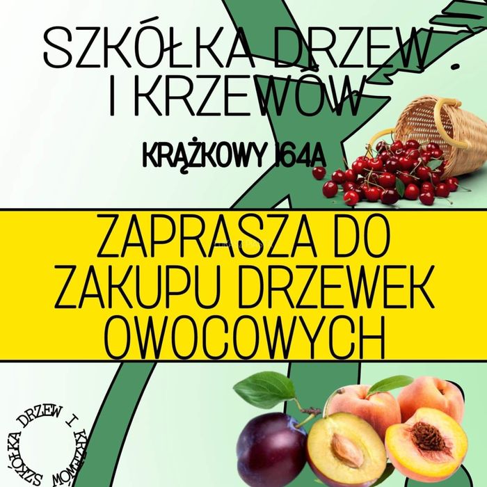 Sprzedam drzewka owocowe