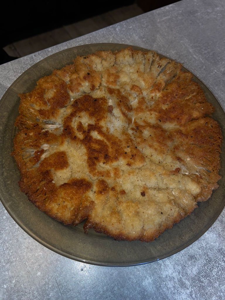 Kanie grzyby piła - krajenka