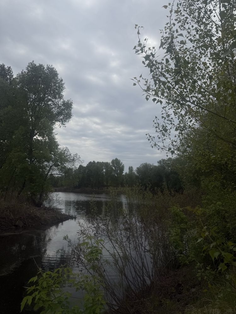 Продажа земельного участка 20соток Вышгородский район с.Осещина ,вода