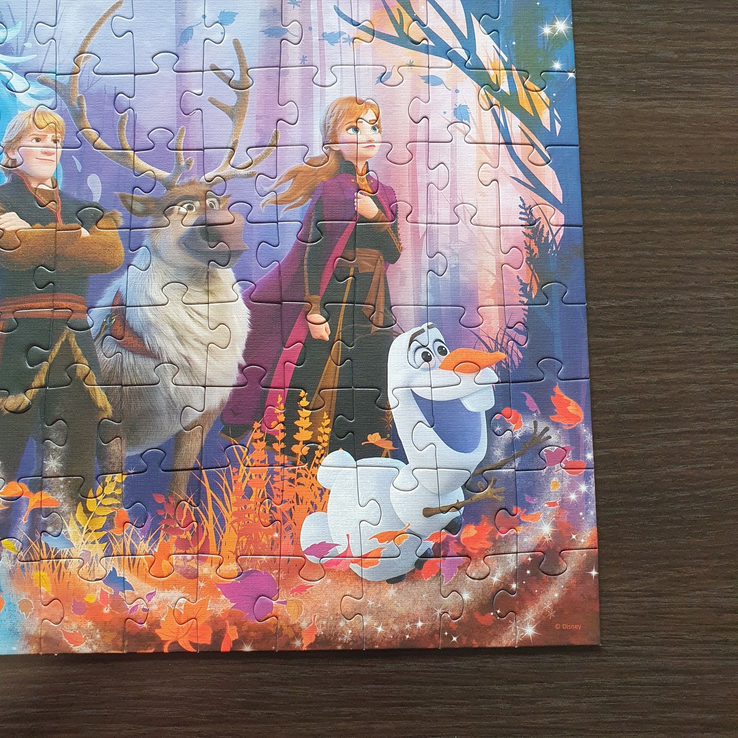 Puzzle Frozen II