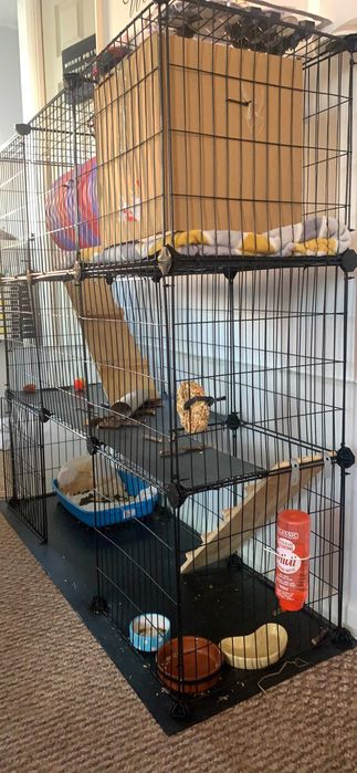 KOJEC WYBIEG KLATKA DLA GRYZONI królików świnek duża dwa poziomy