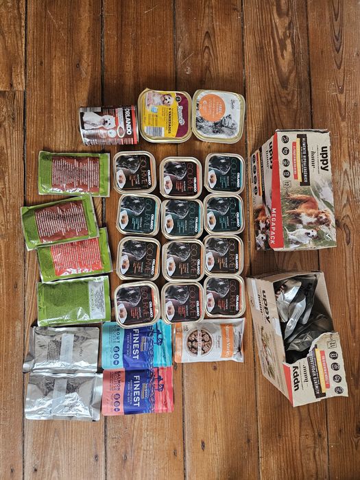 Conjunto de comida húmida para cão