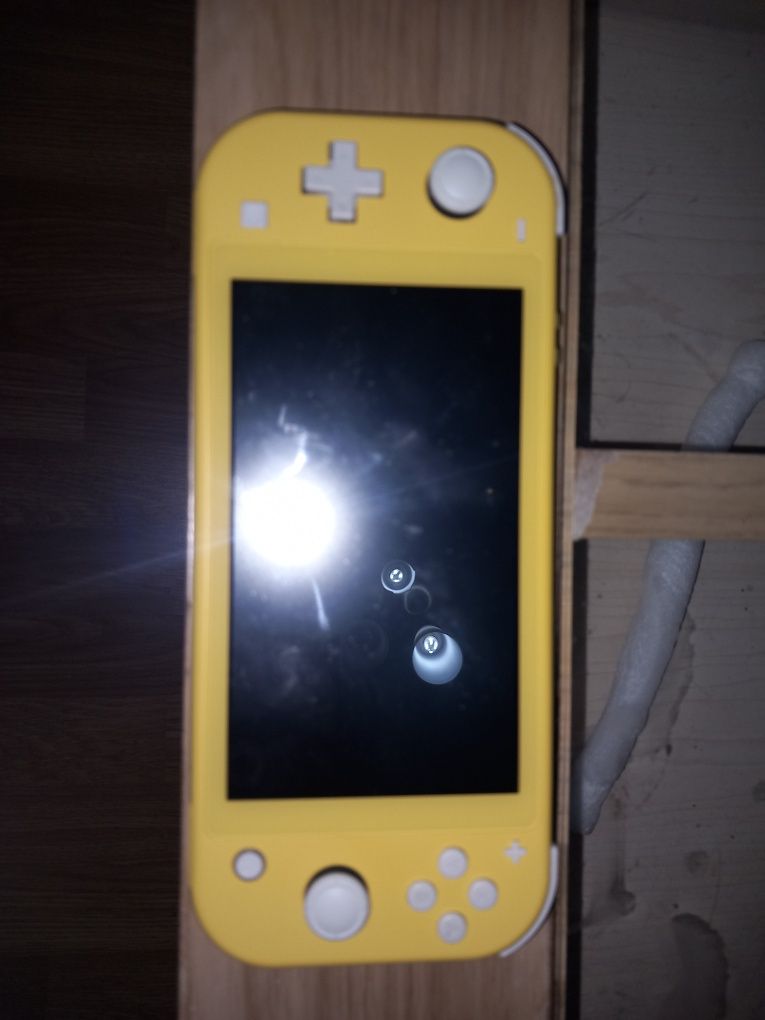 Nintendo switch lite