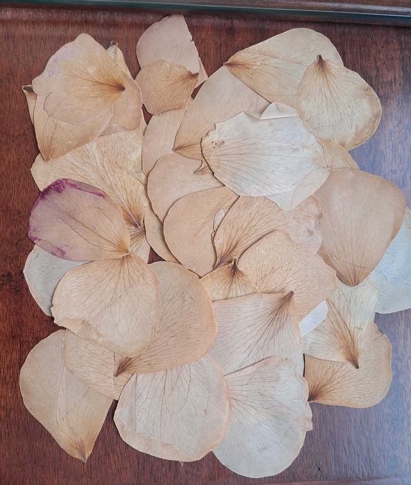 Pétalas Secas de Flores Naturais