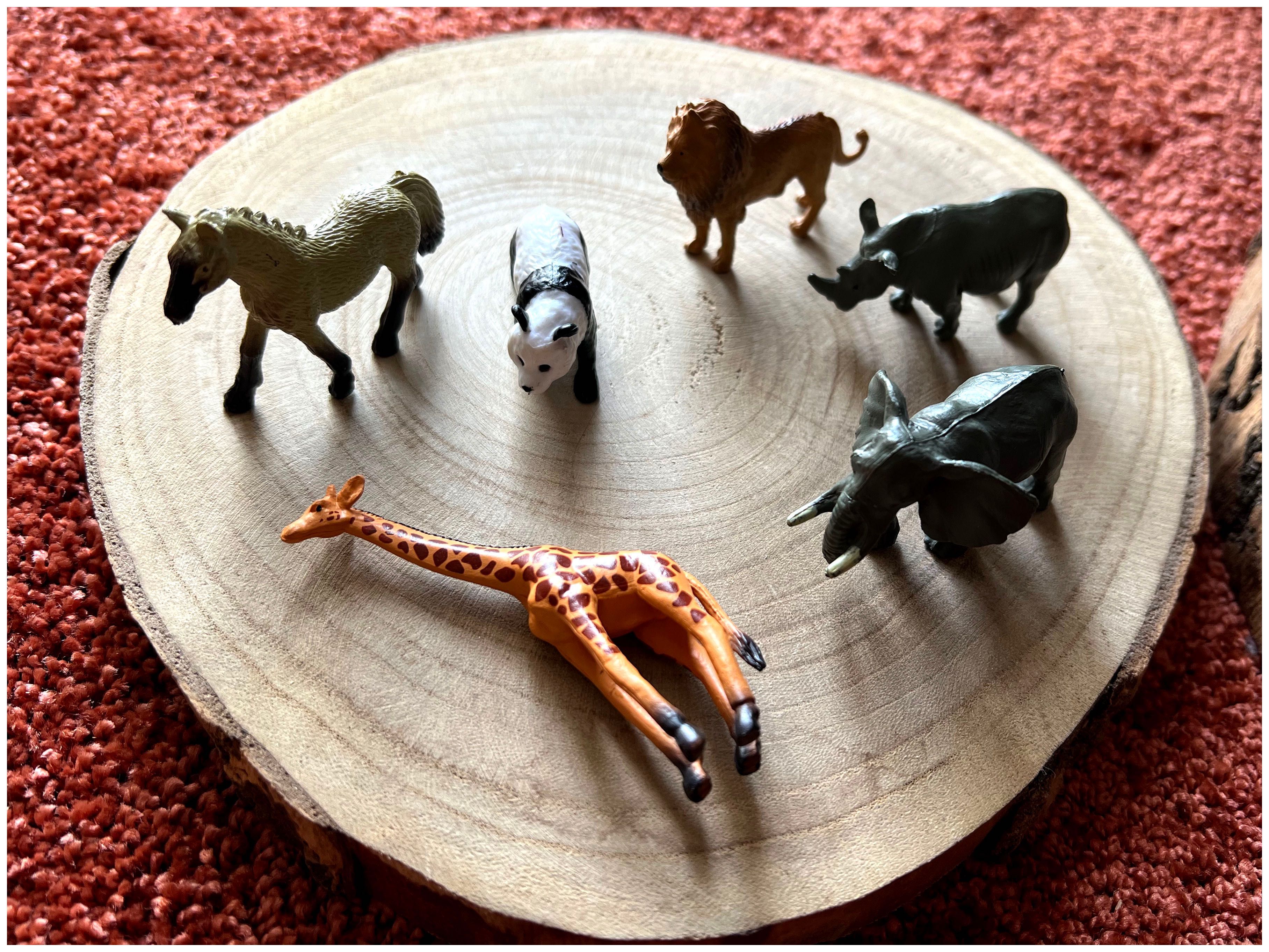 Animais da Selva- Montessori