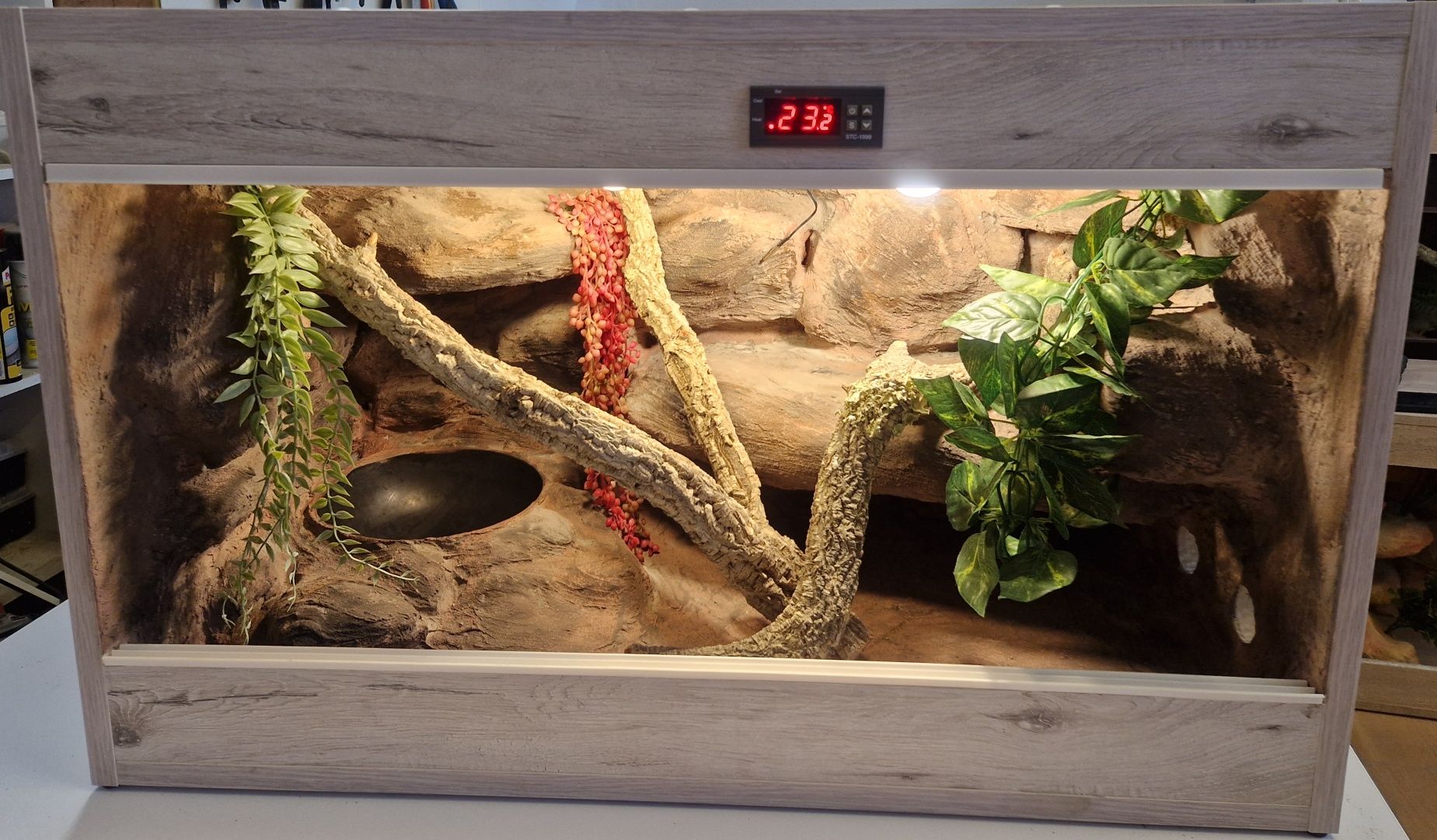 Terrarium dla węża na zamówienie 100x40x40